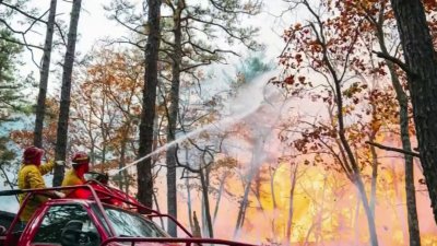 Acusan a menor de provocar incendio forestal