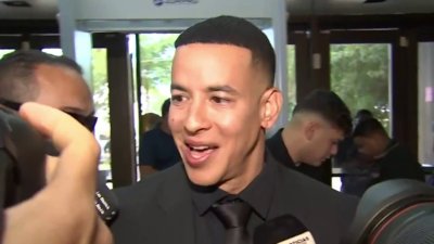 Momento cuando Daddy Yankee llega al tribunal