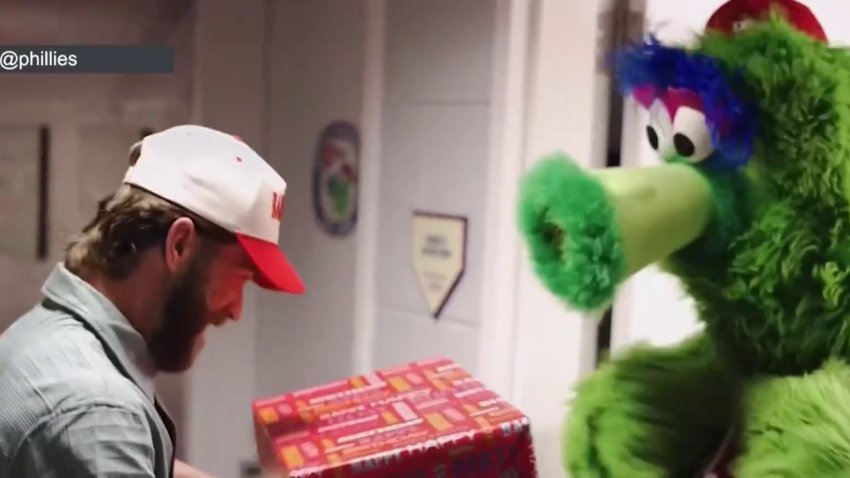 Phanatic celebrará su cumpleaños junto a fanáticos el domingo de Pascua