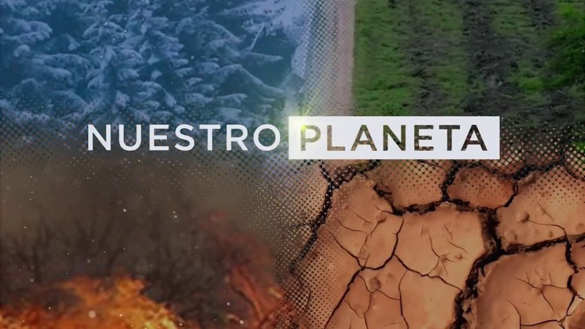 Nuestro Planeta: cuál es la situación actual y qué podemos hacer para protegerlo