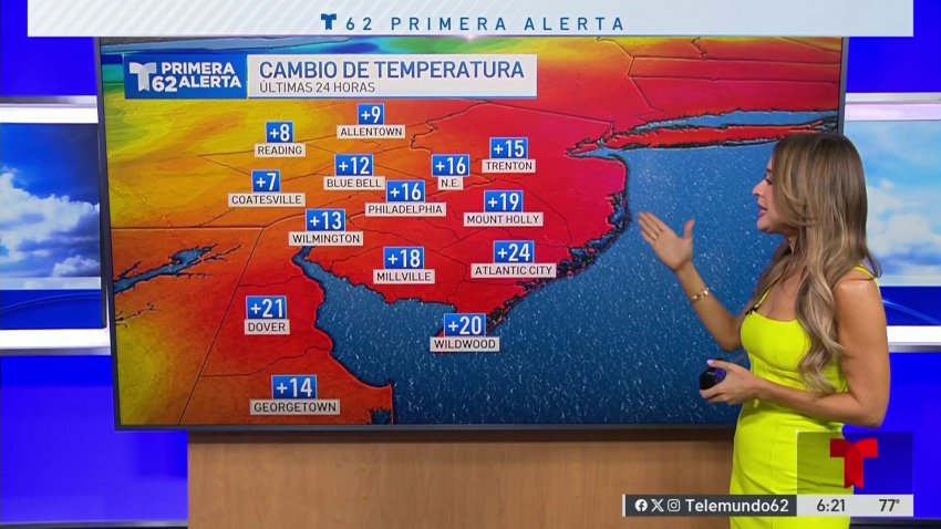 Temperaturas templadas y altos niveles de polen en nuestra región