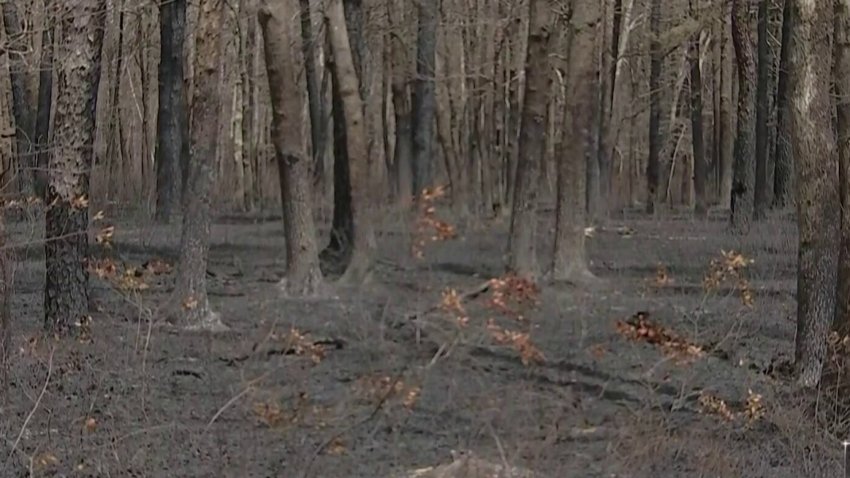 Necesitan lluvia para aplacar fuego forestal Jones Road