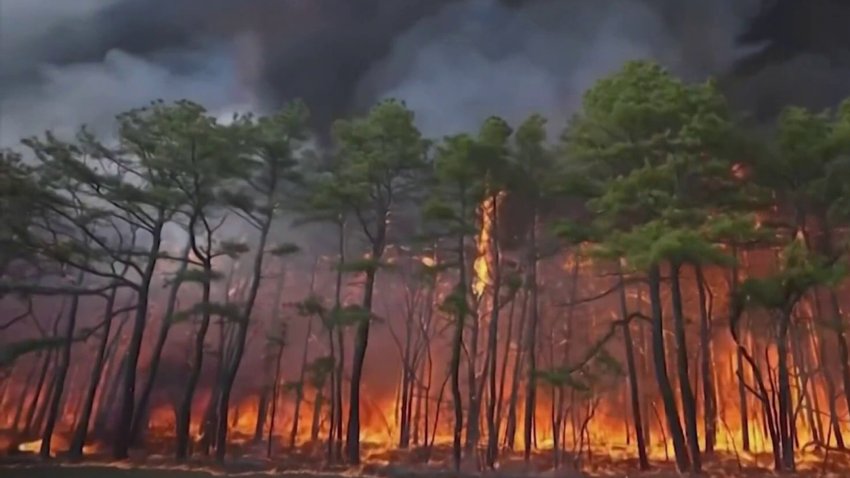 Comparece en corte joven acusado de provocar incendio forestal en Ocean County, NJ