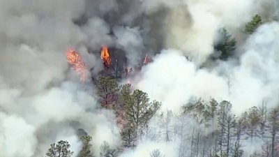 Menor arrestado como segundo acusado de provocar el incendio forestal Jones Road