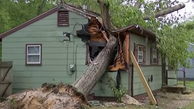 Destrucción tras la caída de un árbol sobre una casa en Collings Lake, NJ