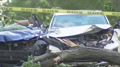 Una mujer murió y otra está herida al caerles un árbol encima