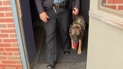 Agente K-9 se regitra de Montgomery County