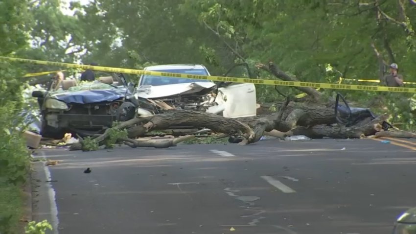 Lower merion tree accident