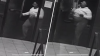 Buscan a mujer por tirar a perrito herido en contenedor de basura