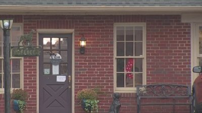 En corte hispano acusado de apuñalar a veterinario de NJ
