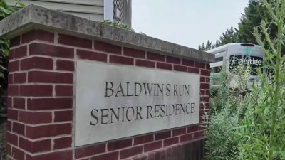 Denuncian infestación de roedores y filtraciones de agua en hogares de adultos mayores en Camden
