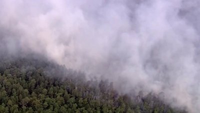 Incendio forestal en bosque Wharton en NJ