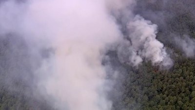Bomberos intentan controlar incendio forestal en NJ