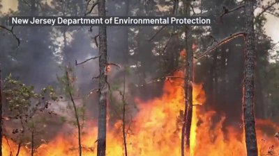 Miles de acres quemados por incendio forestal en Burlington County, NJ