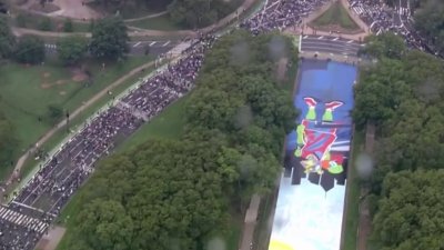 Miles llenaron la vía del Benjamin Franklin Parkway alzando su voz de manera pacífica por el “No Kings Day”