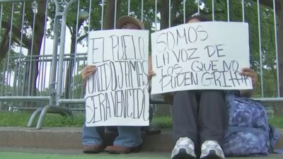 Reiteran la urgencia de que se pueda garantizar el respeto a las leyes de la nación