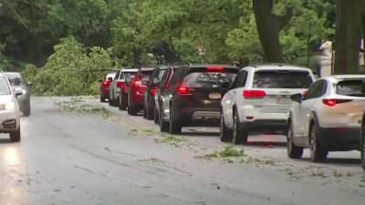 Reportan retrasos en el tránsito debido a árboles caídos por la tormenta