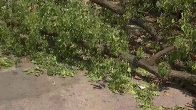 Relato de vecinos de Kensington tras estragos de las tormentas