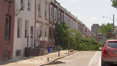 Árboles caídos tras tormenta dejan atrapados a vecinos en sus casas en Filadelfia