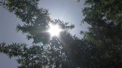 Golpe de calor: expertos alertan sobre cuidados clave
