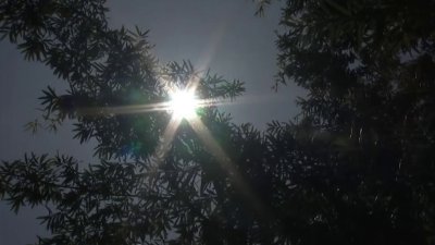 Médicos alertan sobre el calor extremo y cómo evitar una visita al hospital