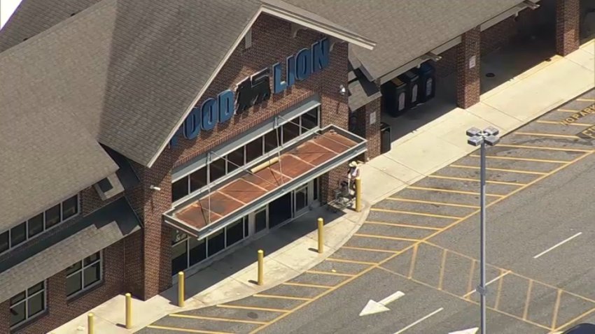 food lion