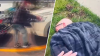 “Para de correr”: Hombre provoca persecución policial por carretera concurrida en NJ