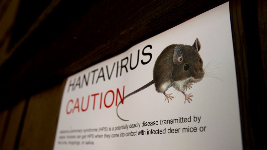 ¿Qué es el Hantavirus, que dejó tres muertos y varios infectados en crucero?
