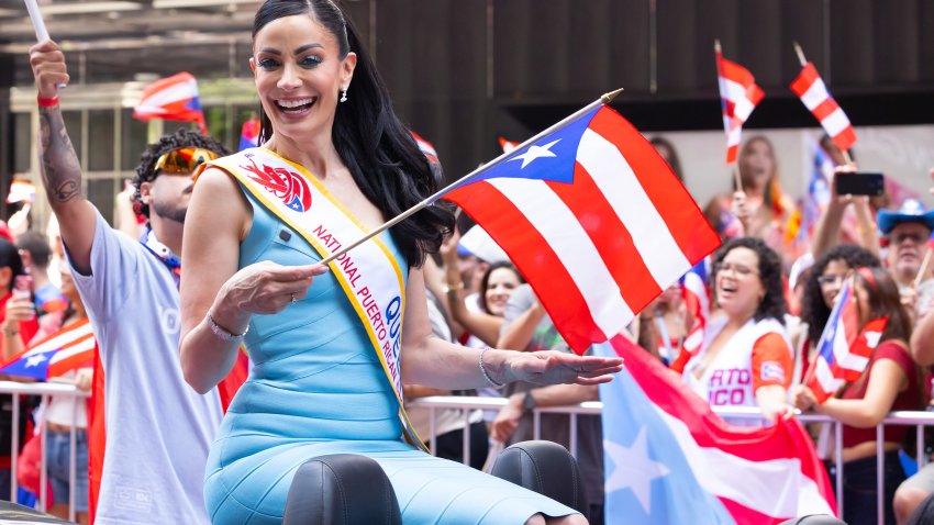 NEW YORK, NY – JUNE 14: Dayanara Torres is seen at the Puerto Rican Day Parade 2026 on Fifth Avenue, Manhattan on June 14, 2026 in New York City.  (Photo by BG048/Bauer-Griffin/GC Images)