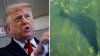 Trump atribuye deterioro del estanque del National Mall a vandalismo y anuncia arrestos