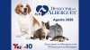 Telemundo62 y NBC10 presenta el regreso de su campaña anual de mascotas y donación, 