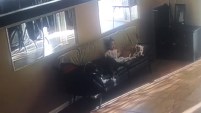 El tío de la bebé de un añito dejó a la pequeña a solas con los perros pitbull. Mira el tierno video.